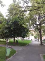 Praha 1 – Obnova parku na Hradčanském náměstí